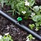 Raindrip Raindrip Spot Drip Irrigation Dripper 2 gph 10 pk 122010B - alternate 2